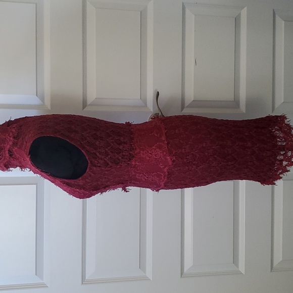 Lace Bodycon Dress by Nightcap/Carisa Rene - Picture 3 of 8